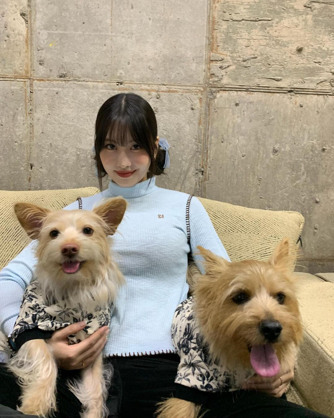 MOMO, BOO & DOBBY
